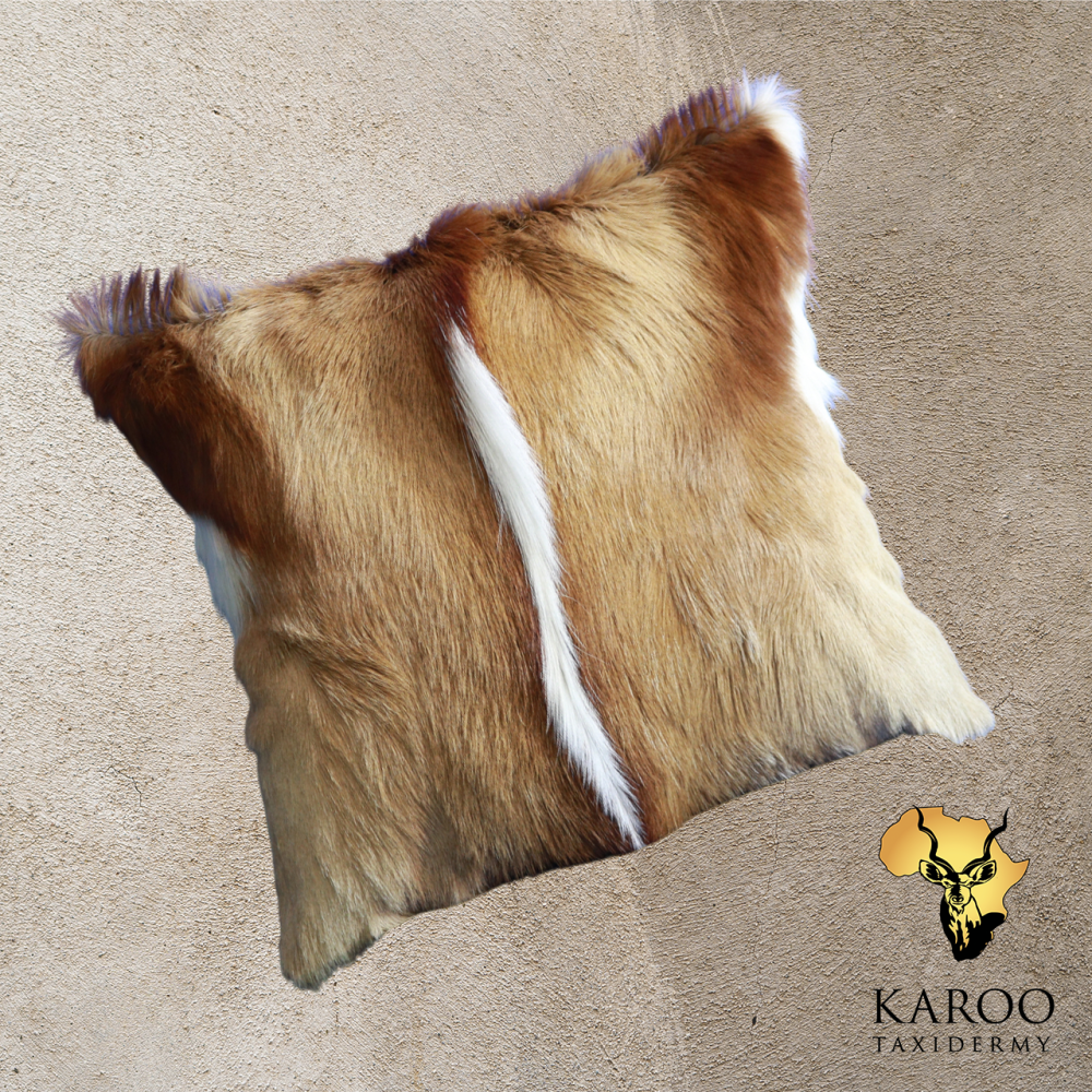Springbuck Hide Scatter Pillow 40cm x 40cm