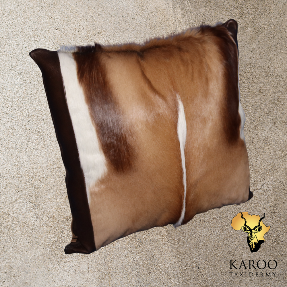 Springbuck Hide Pillow with Chocolate Leather Side Trim 50cm x 50cm