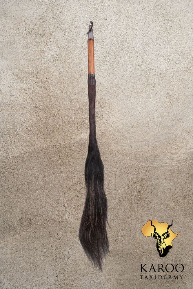 Blue Wildebeest Tail Swish