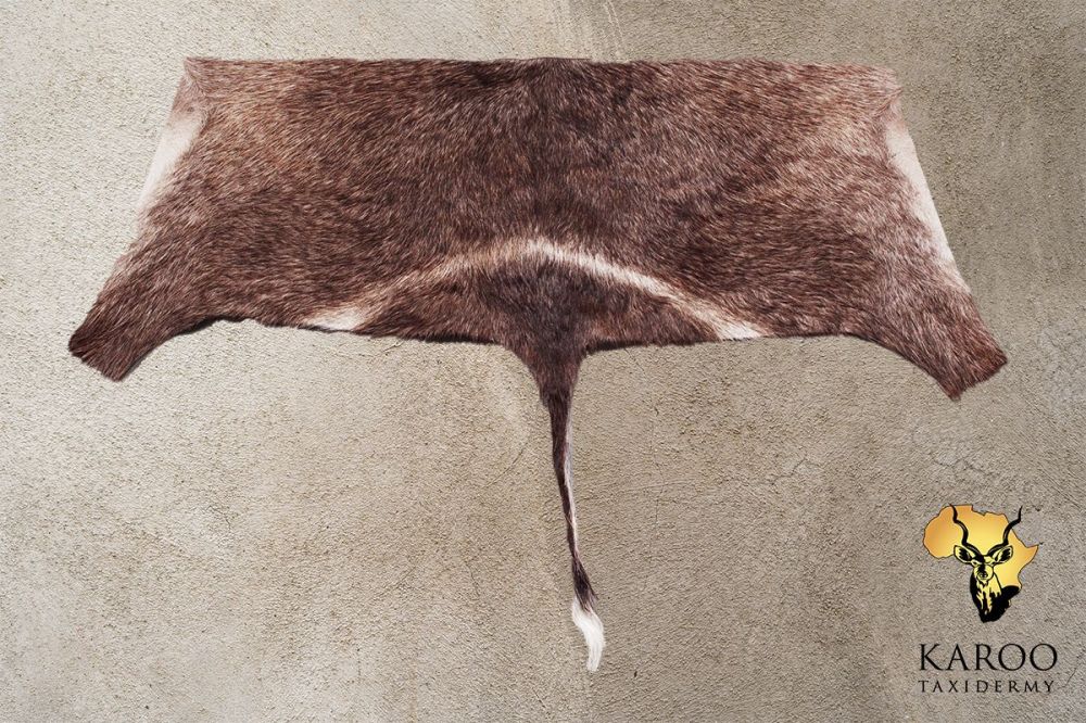 Waterbuck Back Skin
