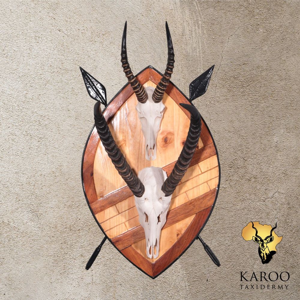 Waterbuck and Blesbuck European Skull Mounts on a Custom African Shield