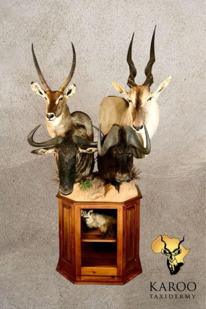Mixed Plains Game Pedestal featuring Waterbuck, Blue Wildebeest, Black Wildebeest and Eland on an Octagonal Storage Pedestal