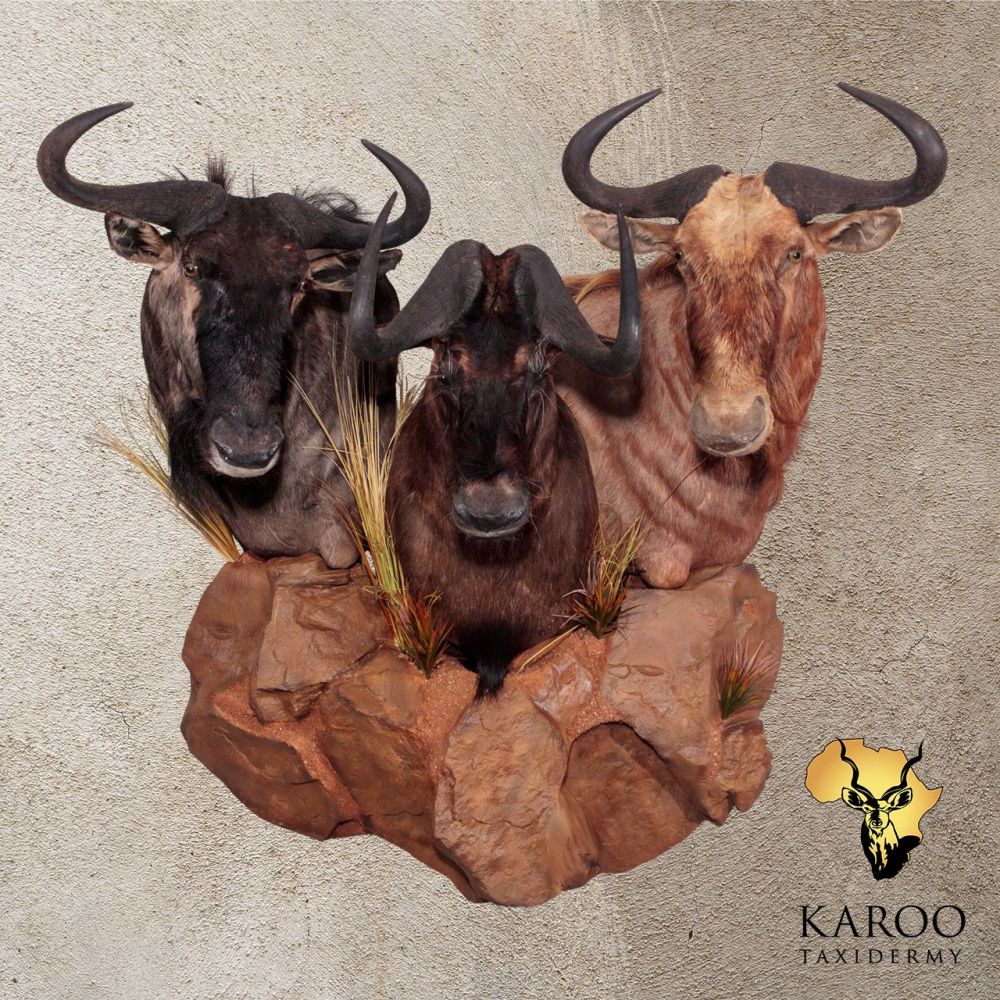Wildebeest Mixed (Blue, Black and Golden) Custom Rockery Wall Pedestal
