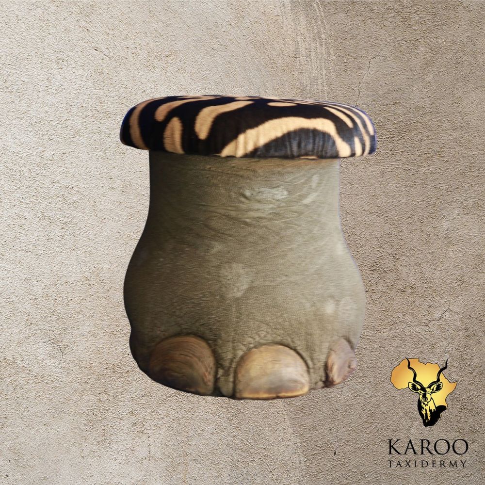 African Elephant Footstool with Zebra Hide Seat &ndash; front view