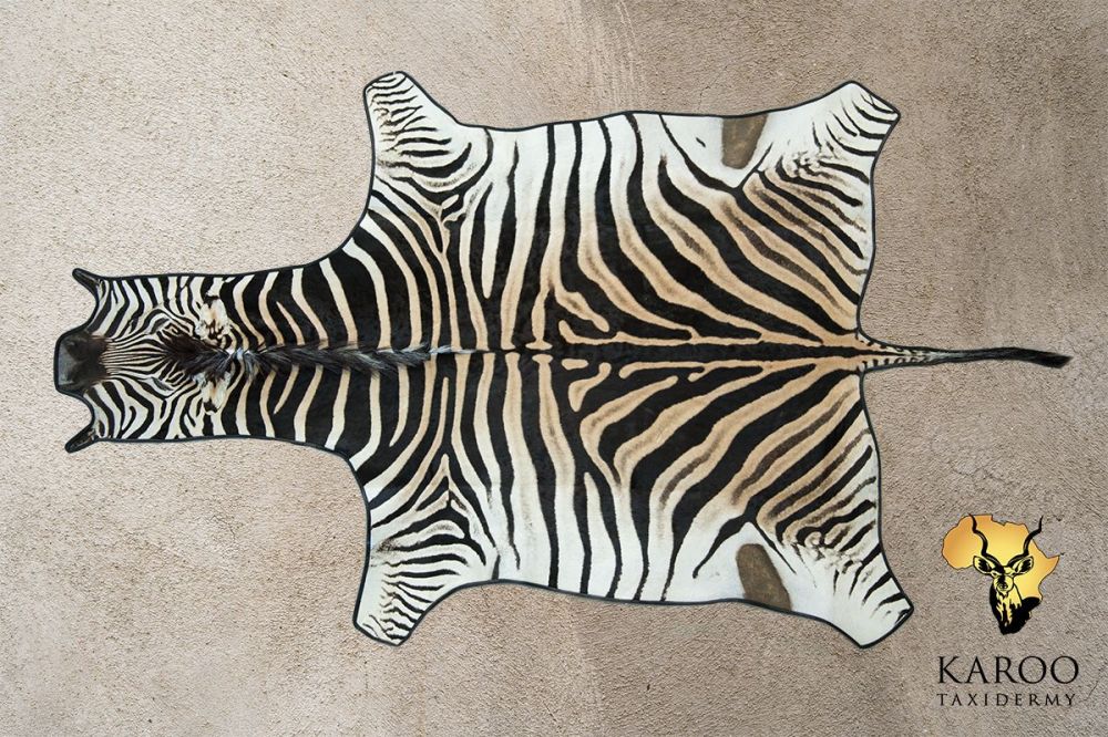 Zebra Flat Skin with Leather Trim