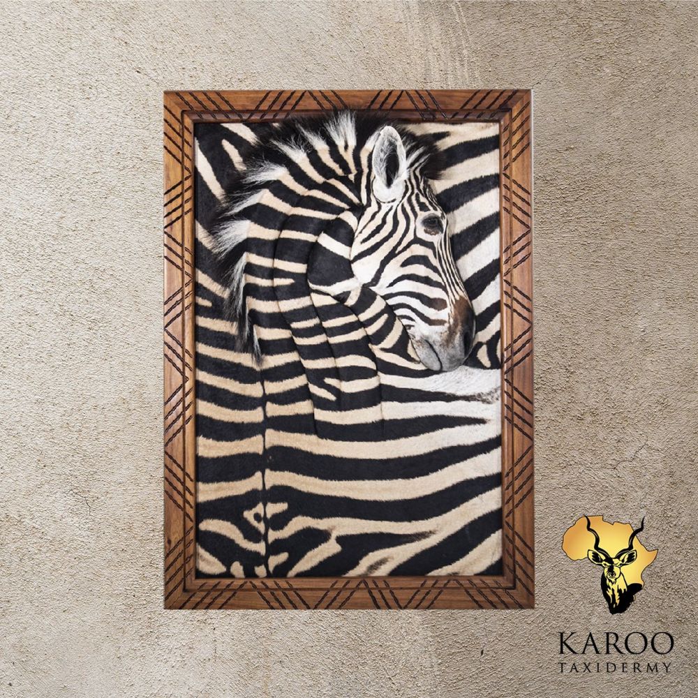 Burchell&rsquo;s Zebra Wall Portrait in a Custom Wood Frame