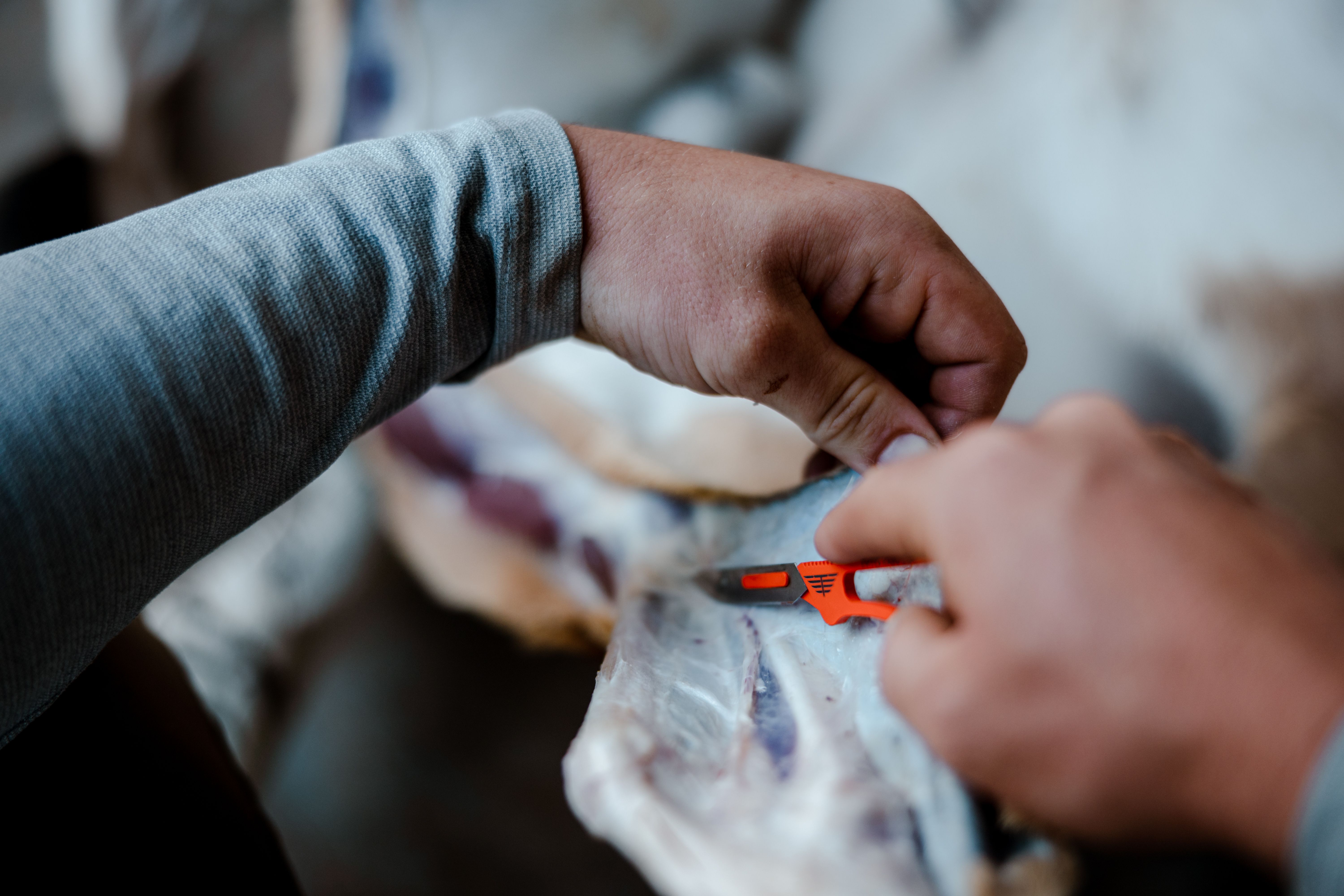 Precise field skinning